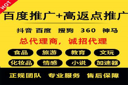 某品牌SEM推广策略的成效与启示
